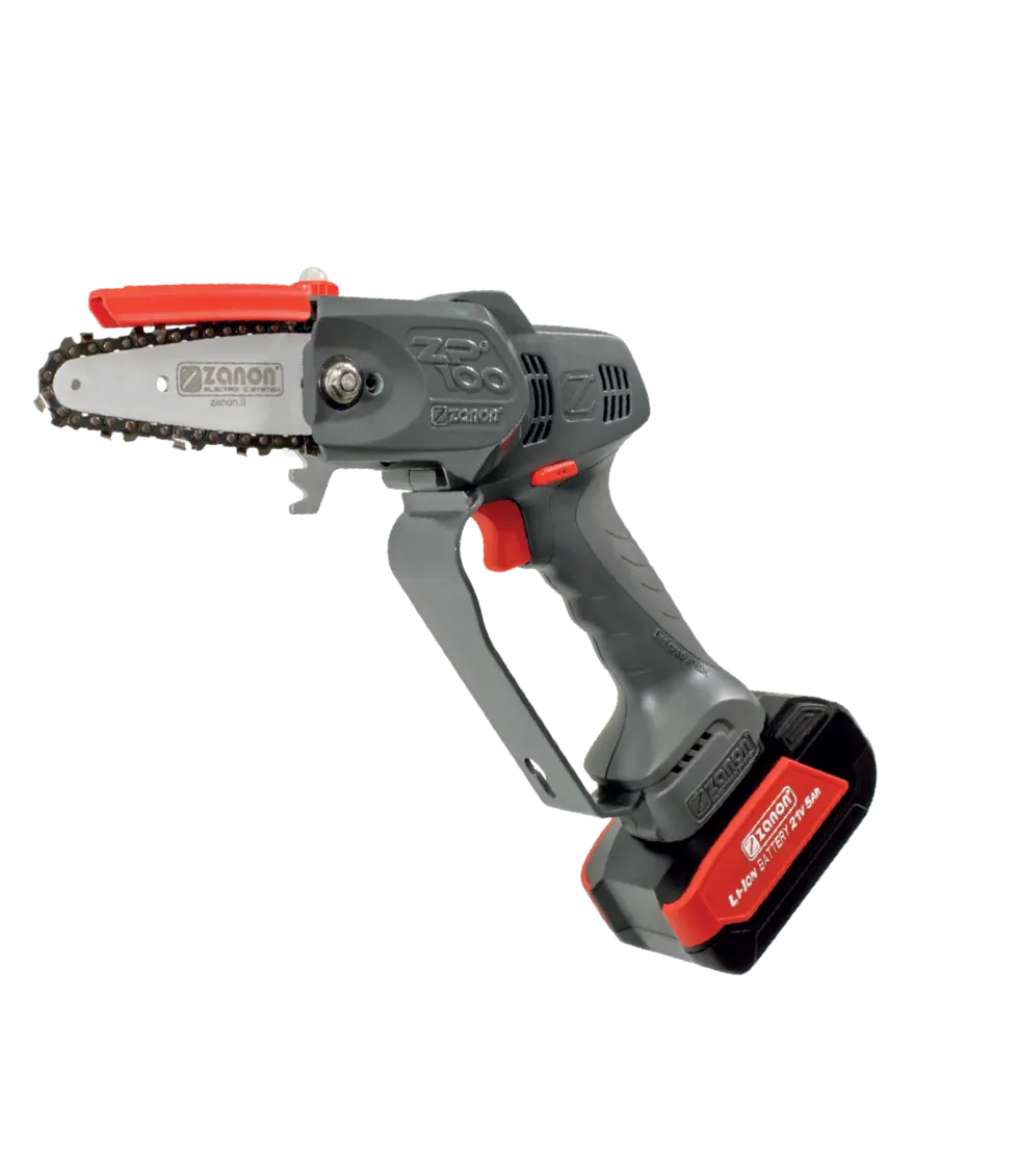 Potatore elettronico Zanon ZP 100 - immagine 2